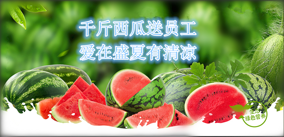 通達(dá)軟件公司： 千斤西瓜送員工，愛在盛夏有清涼